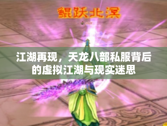 江湖再现，天龙八部私服背后的虚拟江湖与现实迷思