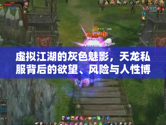 虚拟江湖的灰色魅影，天龙私服背后的欲望、风险与人性博弈