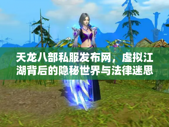 天龙八部私服发布网，虚拟江湖背后的隐秘世界与法律迷思