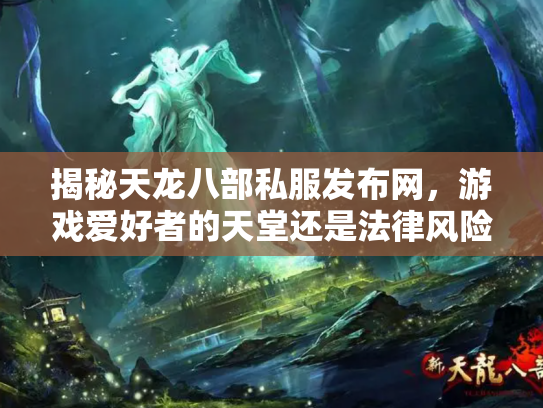 揭秘天龙八部私服发布网，游戏爱好者的天堂还是法律风险区？