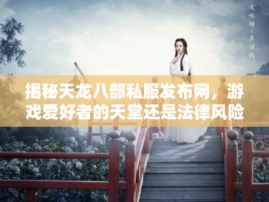 揭秘天龙八部私服发布网，游戏爱好者的天堂还是法律风险区？