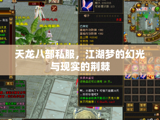 天龙八部私服，江湖梦的幻光与现实的荆棘