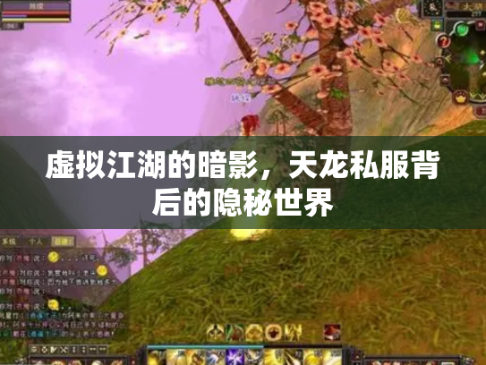 虚拟江湖的暗影，天龙私服背后的隐秘世界