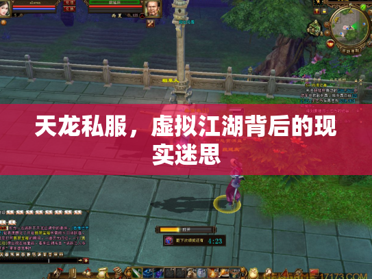 天龙私服，虚拟江湖背后的现实迷思
