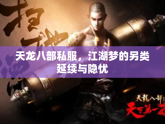 天龙八部私服，江湖梦的另类延续与隐忧