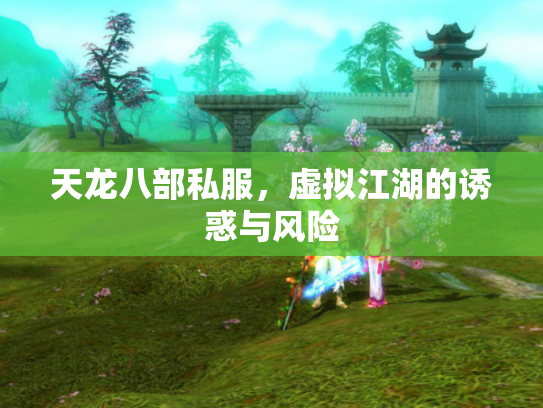 天龙八部私服，虚拟江湖的诱惑与风险