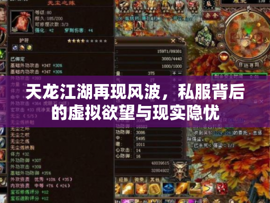 天龙江湖再现风波，私服背后的虚拟欲望与现实隐忧