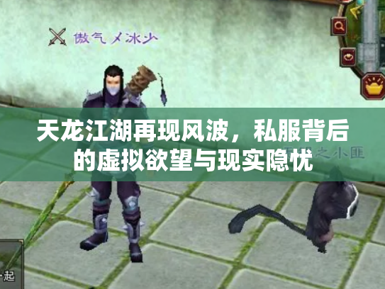 天龙江湖再现风波，私服背后的虚拟欲望与现实隐忧