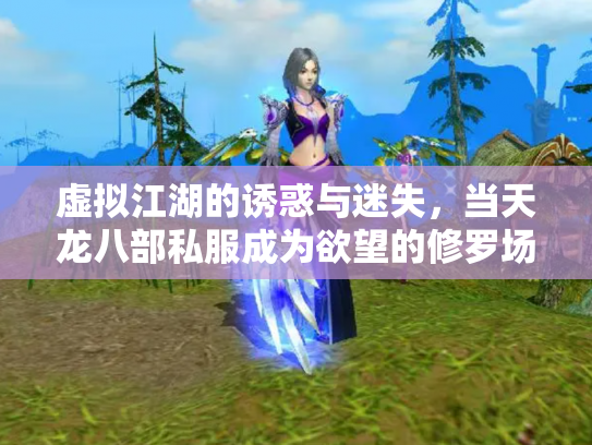虚拟江湖的诱惑与迷失，当天龙八部私服成为欲望的修罗场