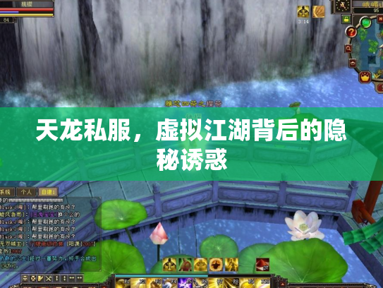 天龙私服，虚拟江湖背后的隐秘诱惑