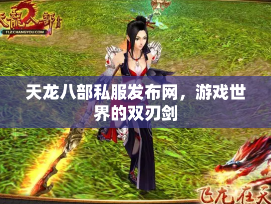 天龙八部私服发布网，游戏世界的双刃剑