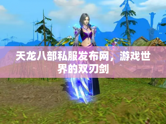 天龙八部私服发布网，游戏世界的双刃剑
