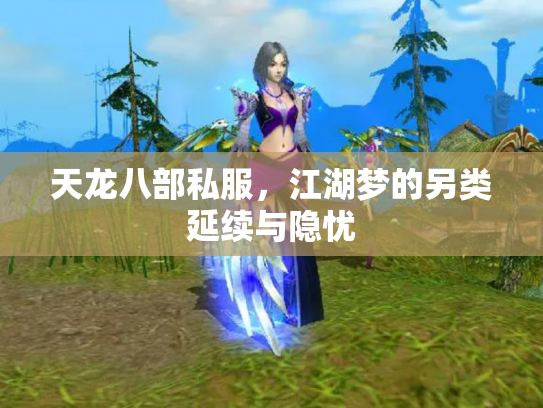 天龙八部私服，江湖梦的另类延续与隐忧