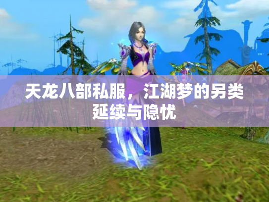 天龙八部私服，江湖梦的另类延续与隐忧