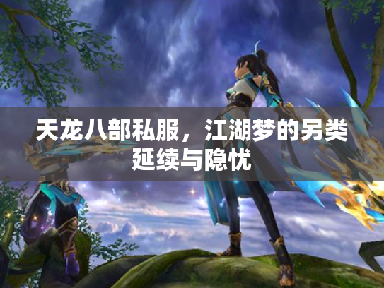 天龙八部私服，江湖梦的另类延续与隐忧