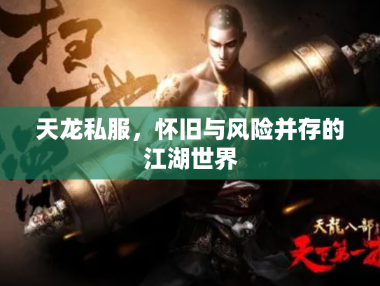 天龙私服，怀旧与风险并存的江湖世界