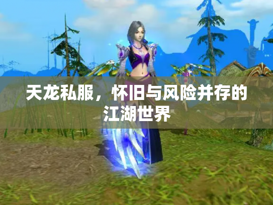 天龙私服，怀旧与风险并存的江湖世界