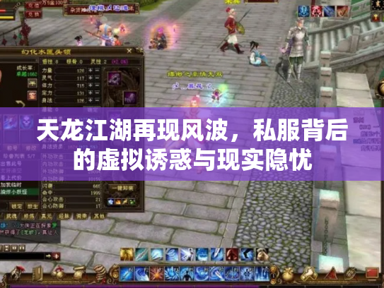 天龙江湖再现风波，私服背后的虚拟诱惑与现实隐忧