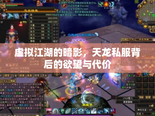虚拟江湖的暗影，天龙私服背后的欲望与代价