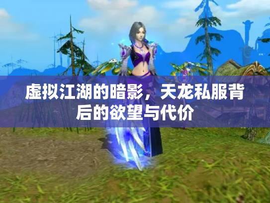 虚拟江湖的暗影，天龙私服背后的欲望与代价