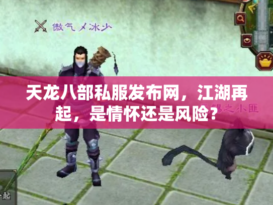 天龙八部私服发布网，江湖再起，是情怀还是风险？
