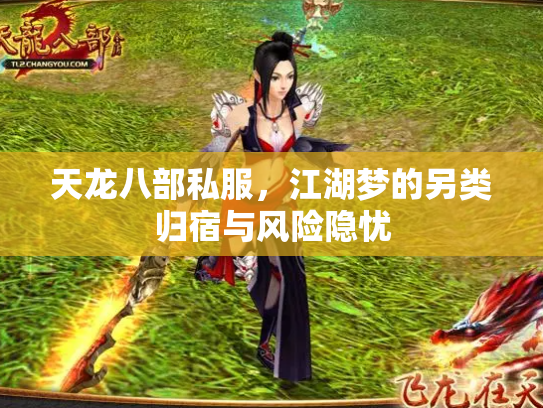 天龙八部私服，江湖梦的另类归宿与风险隐忧