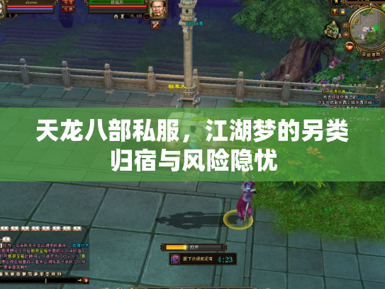 天龙八部私服，江湖梦的另类归宿与风险隐忧