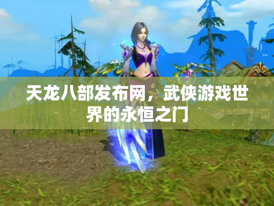 天龙八部发布网，武侠游戏世界的永恒之门