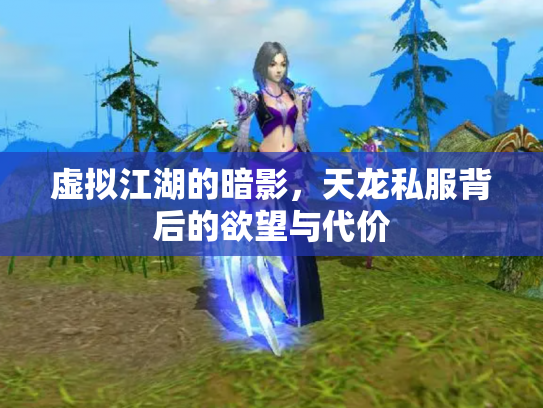 虚拟江湖的暗影，天龙私服背后的欲望与代价