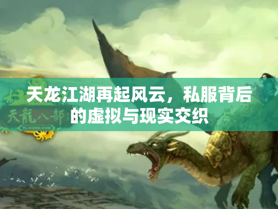 天龙江湖再起风云，私服背后的虚拟与现实交织