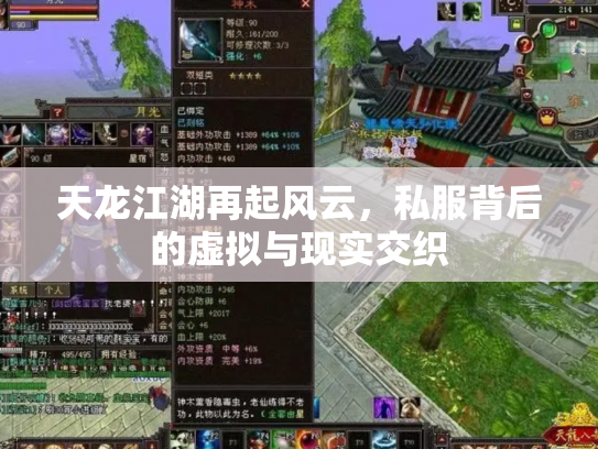 天龙江湖再起风云，私服背后的虚拟与现实交织