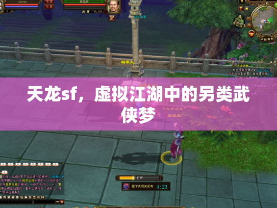 天龙sf，虚拟江湖中的另类武侠梦
