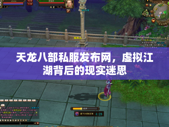 天龙八部私服发布网，虚拟江湖背后的现实迷思
