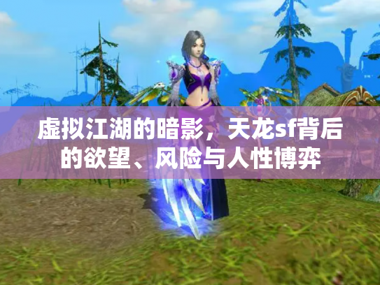 虚拟江湖的暗影，天龙sf背后的欲望、风险与人性博弈