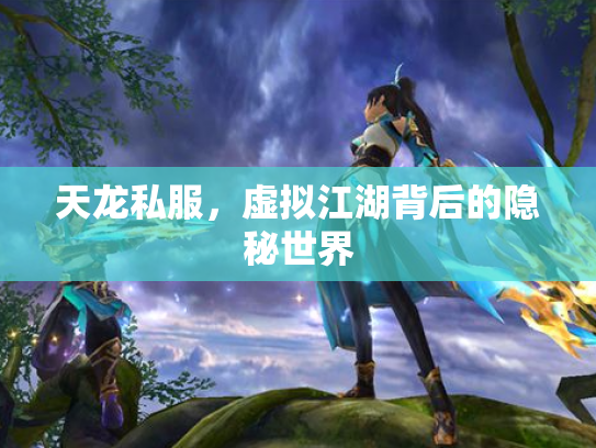 天龙私服，虚拟江湖背后的隐秘世界