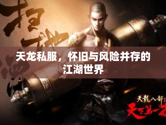 天龙私服，怀旧与风险并存的江湖世界