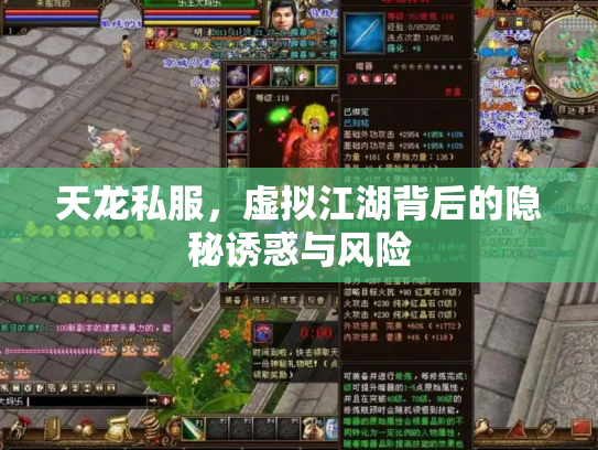 天龙私服，虚拟江湖背后的隐秘诱惑与风险