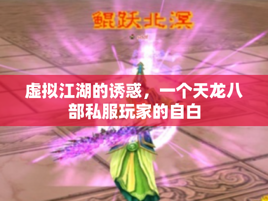 虚拟江湖的诱惑，一个天龙八部私服玩家的自白