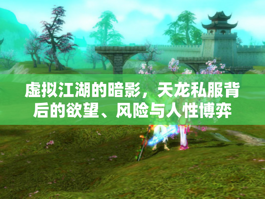 虚拟江湖的暗影，天龙私服背后的欲望、风险与人性博弈