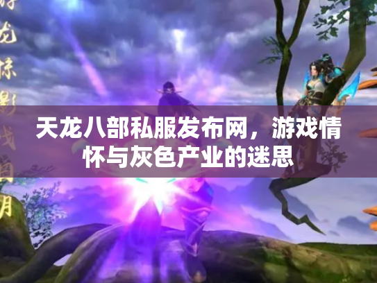 天龙八部私服发布网，游戏情怀与灰色产业的迷思