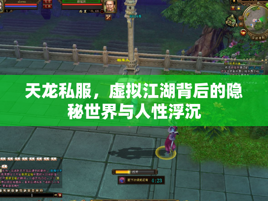 天龙私服，虚拟江湖背后的隐秘世界与人性浮沉