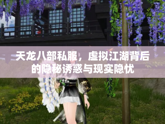 天龙八部私服，虚拟江湖背后的隐秘诱惑与现实隐忧