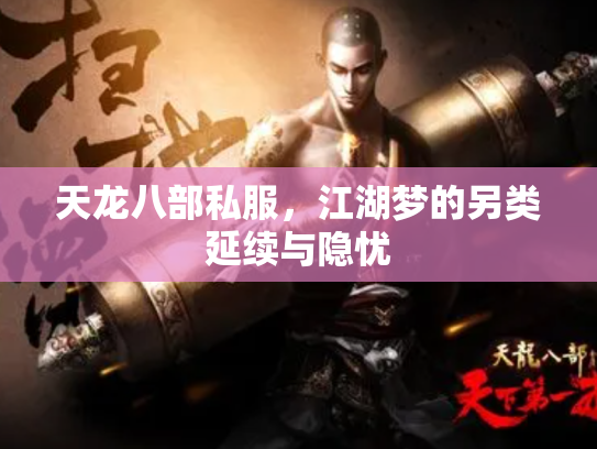 天龙八部私服，江湖梦的另类延续与隐忧