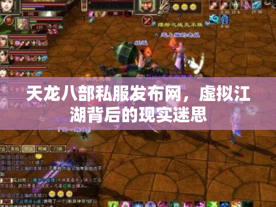天龙八部私服发布网，虚拟江湖背后的现实迷思