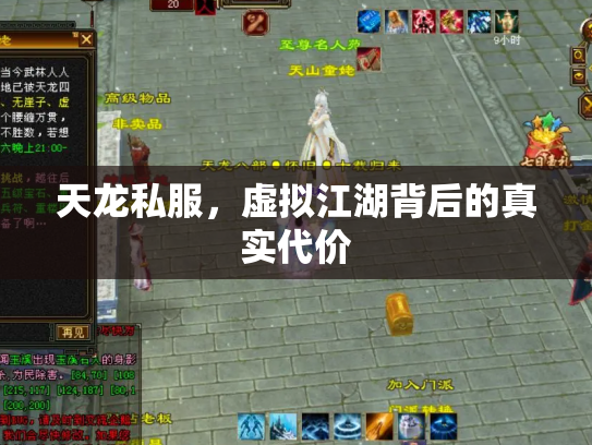天龙私服，虚拟江湖背后的真实代价