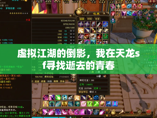 虚拟江湖的倒影，我在天龙sf寻找逝去的青春