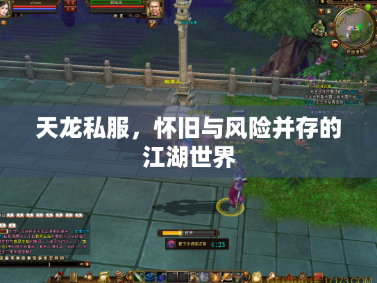 天龙私服，怀旧与风险并存的江湖世界