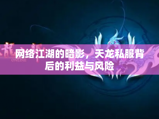 网络江湖的暗影，天龙私服背后的利益与风险