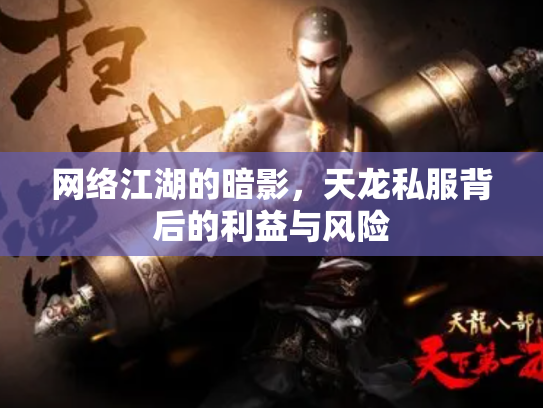 网络江湖的暗影，天龙私服背后的利益与风险