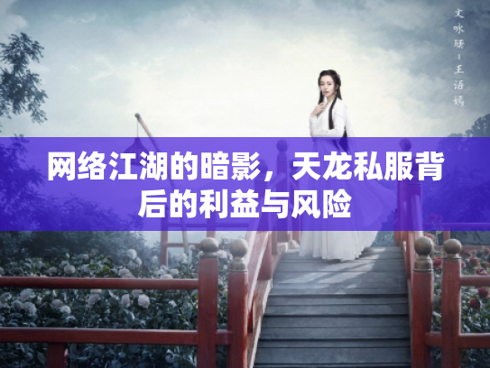 网络江湖的暗影，天龙私服背后的利益与风险